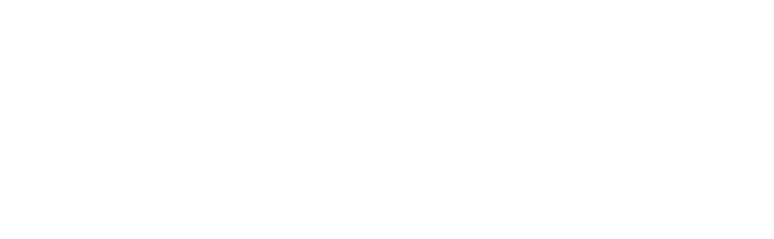 DJ DINI - Video DJ World Champion
